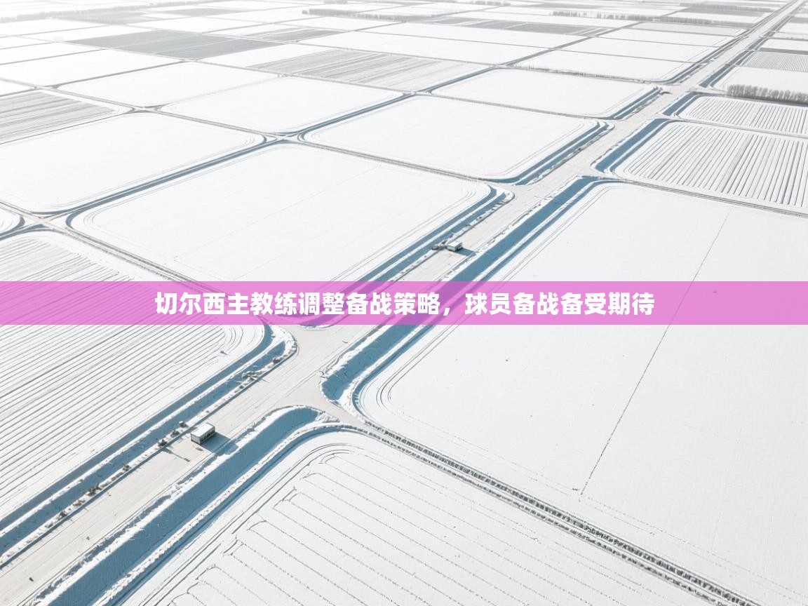 切尔西主教练调整备战策略,球员备战备受期待 第2张