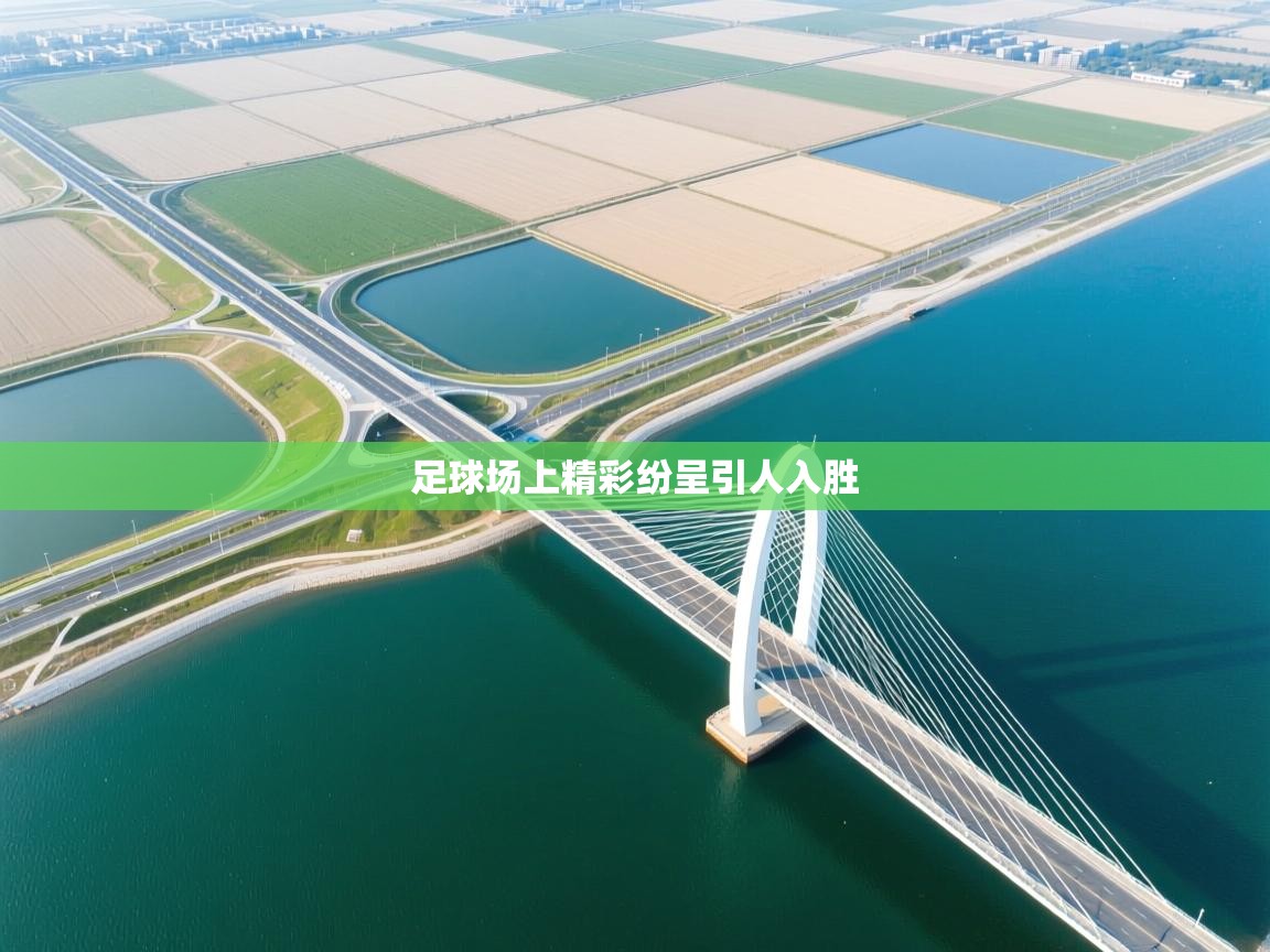 足球场上精彩纷呈引人入胜