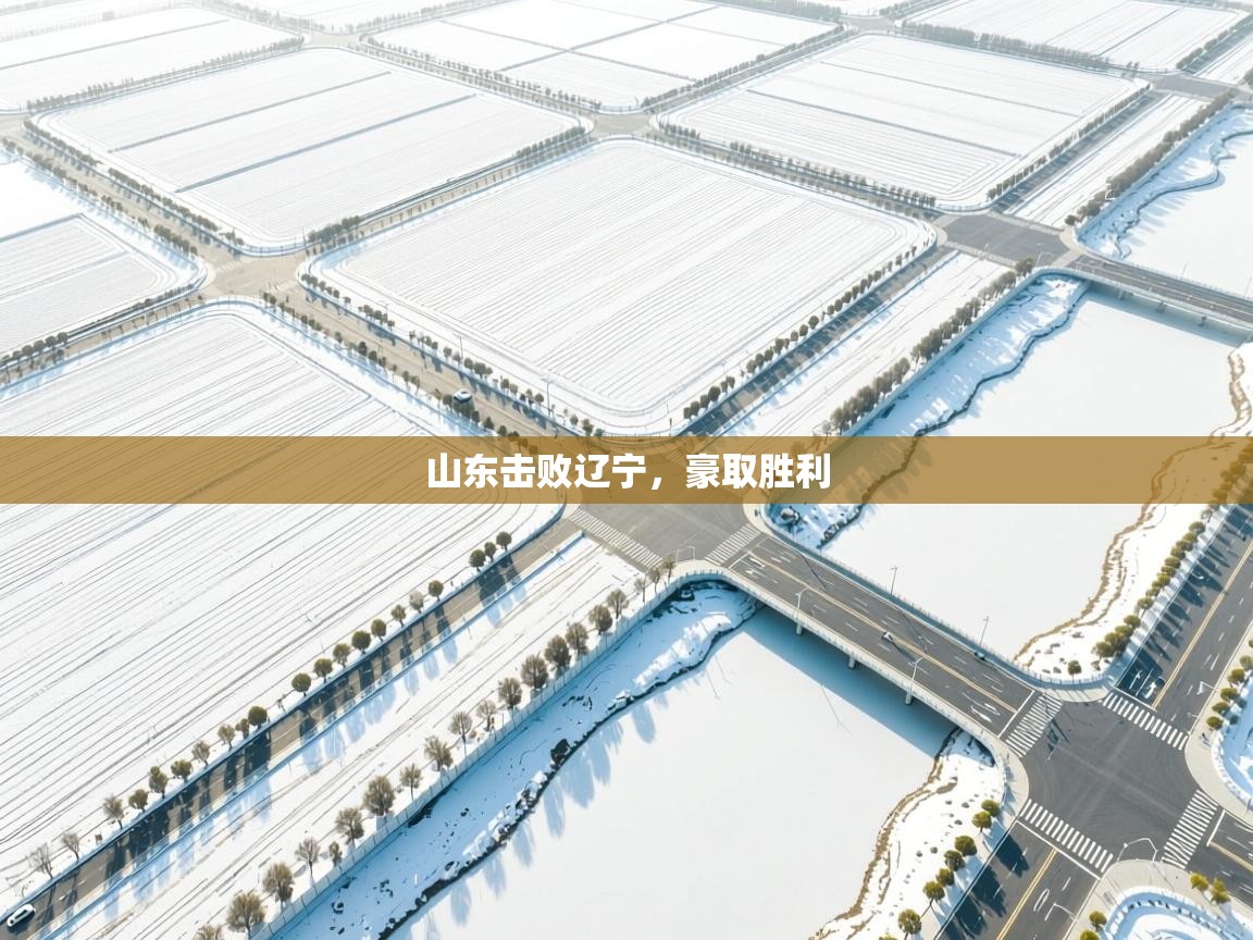 山东击败辽宁,豪取胜利