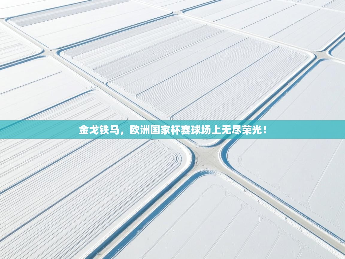 金戈铁马,欧洲国家杯赛球场上无尽荣光!